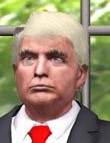 Donald Trump - President 45<br>(for Poser)