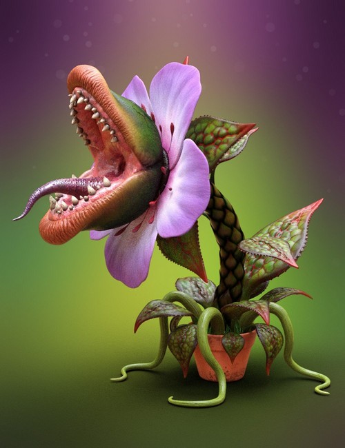 Audrey II - Carnivorous Plant HD